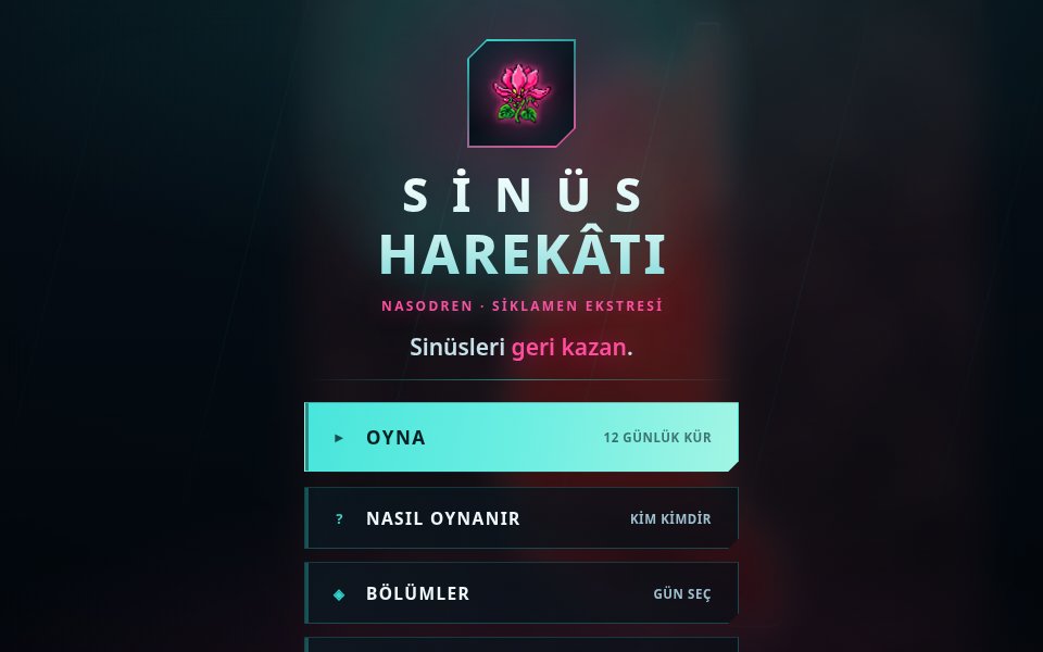 Sinüs Harekâtı oyunundan ekran görüntüsü